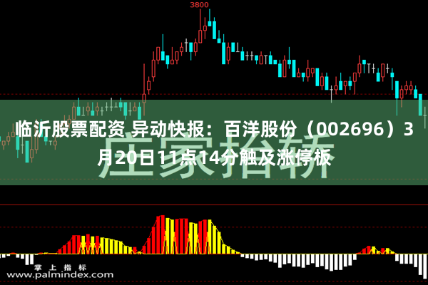 临沂股票配资 异动快报：百洋股份（002696）3月20日11点14分触及涨停板