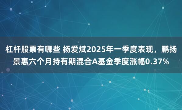 杠杆股票有哪些 杨爱斌2025年一季度表现，鹏扬景惠六个月持有期混合A基金季度涨幅0.37%