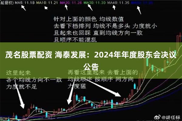 茂名股票配资 海泰发展：2024年年度股东会决议公告