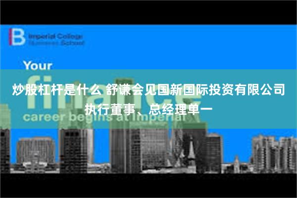 炒股杠杆是什么 舒谦会见国新国际投资有限公司执行董事、总经理单一