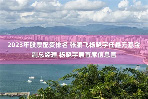 2023年股票配资排名 张鹏飞杨晓宇任鑫元基金副总经理 杨晓宇兼首席信息官