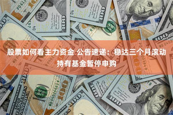 股票如何看主力资金 公告速递：稳达三个月滚动持有基金暂停申购