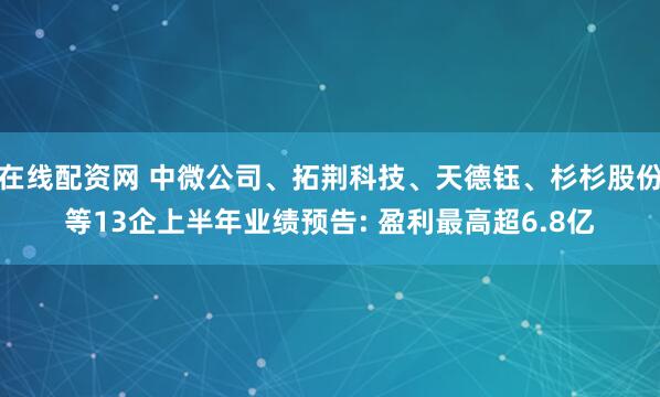 在线配资网 中微公司、拓荆科技、天德钰、杉杉股份等13企上半年业绩预告: 盈利最高超6.8亿