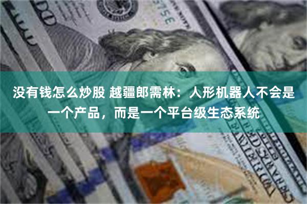 没有钱怎么炒股 越疆郎需林：人形机器人不会是一个产品，而是一个平台级生态系统