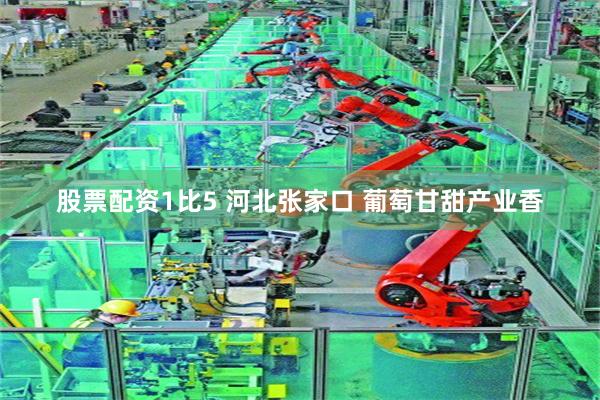 股票配资1比5 河北张家口 葡萄甘甜产业香